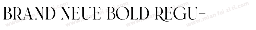Brand Neue Bold Regu字体转换